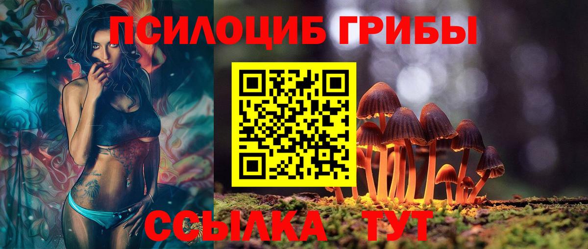 Костомукша  Галлюциногенные грибы GOLDEN TEACHER  Вход с VPN 